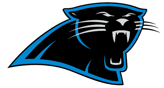 Carolina Panthers 1995-2011 Primary Logo iron on transfers for clothing